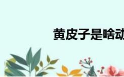 黄皮子是啥动物（黄皮子）