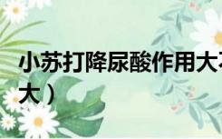 小苏打降尿酸作用大不大（小苏打降尿酸作用大）