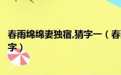 春雨绵绵妻独宿,猜字一（春雨连绵妻独宿打一字请问是什么字）