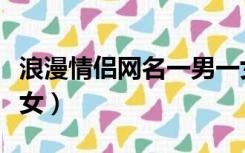 浪漫情侣网名一男一女（诗意情侣网名一男一女）