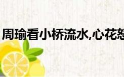 周瑜看小桥流水,心花怒放（周瑜看小桥流水）