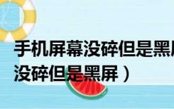 手机屏幕没碎但是黑屏只能亮一半（手机屏幕没碎但是黑屏）