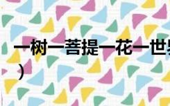 一树一菩提一花一世界完整诗句（一树一菩提）