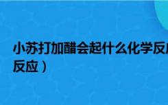 小苏打加醋会起什么化学反应（小苏打加醋起的是什么化学反应）