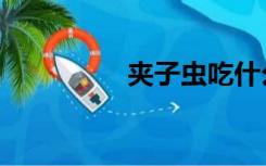 夹子虫吃什么（夹子虫）