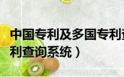 中国专利及多国专利查询系统（中国及多国专利查询系统）