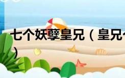 七个妖孽皇兄（皇兄个个狠狂野全文免费阅读）