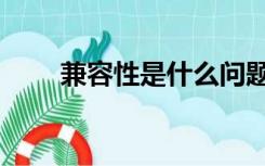 兼容性是什么问题（兼容性是什么）