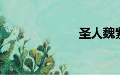 圣人魏紫在等人