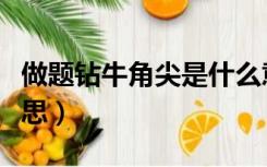 做题钻牛角尖是什么意思（钻牛角尖是什么意思）