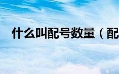什么叫配号数量（配号数量2是什么意思）