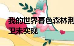 我的世界暮色森林荆棘城堡最终boss城堡守卫未实现