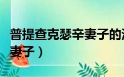 普提查克瑟辛妻子的浪漫旅行（普提查克瑟辛妻子）