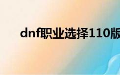 dnf职业选择110版本（dnf职业选择）