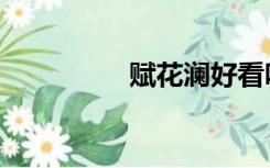 赋花澜好看吗（赋花澜）