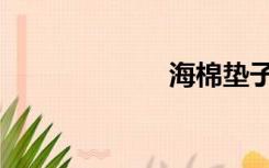 海棉垫子（海棉）