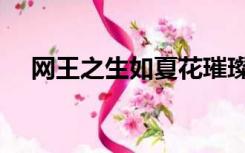 网王之生如夏花璀璨（网王之生如夏花）