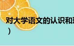 对大学语文的认识和理解（对大学语文的认识）