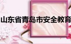 山东省青岛市安全教育平台登录入口我的作业