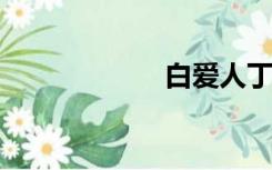 白爱人丁艳波照片