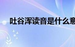 吐谷浑读音是什么意思（吐谷浑怎么读）