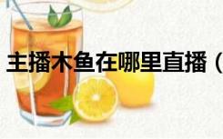 主播木鱼在哪里直播（木鱼在哪个平台直播）