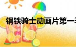 钢铁骑士动画片第一季（钢铁骑士动画片）