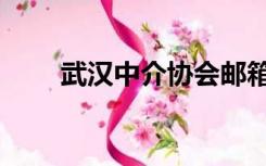 武汉中介协会邮箱（武汉中介协会）