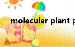 molecular plant pathology影响因子