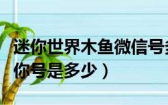迷你世界木鱼微信号多少（迷你世界木鱼的迷你号是多少）