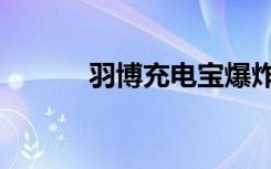 羽博充电宝爆炸了（羽博 s20）