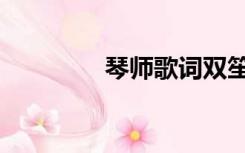 琴师歌词双笙（琴师歌词）