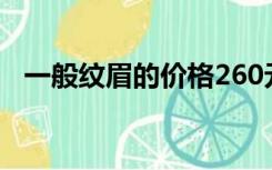 一般纹眉的价格260元（文眉大约多少钱）