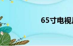 65寸电视尺寸（65）