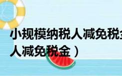 小规模纳税人减免税金会计分录（小规模纳税人减免税金）
