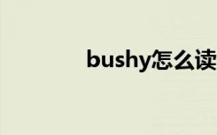 bushy怎么读（shy怎么读）