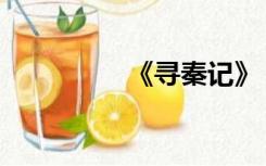 《寻秦记》（寻秦后记）