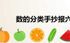 数的分类手抄报六年级（数的分类）