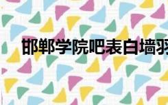 邯郸学院吧表白墙羽毛球（邯郸学院吧）