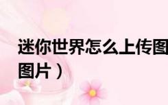 迷你世界怎么上传图片?（迷你世界怎么上传图片）