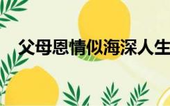 父母恩情似海深人生莫忘父母恩生儿育女