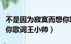 不是因为寂寞而想你歌词（不是因为寂寞才想你歌词王小帅）