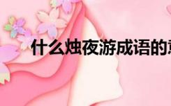 什么烛夜游成语的意思（什么烛夜游）