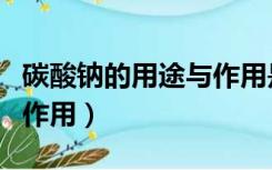 碳酸钠的用途与作用是什么（碳酸钠的用途与作用）