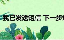 我已发送短信 下一步短信验证失败怎么回事