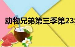 动物兄弟第三季第23集（动物兄弟第三季）