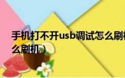 手机打不开usb调试怎么刷机教程（手机打不开usb调试怎么刷机）