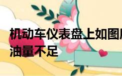 机动车仪表盘上如图所示亮表示发动机可能机油量不足
