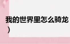 我的世界里怎么骑龙（我的世界龙骑士怎么飞）