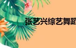 张艺兴综艺舞蹈（张艺兴综艺）